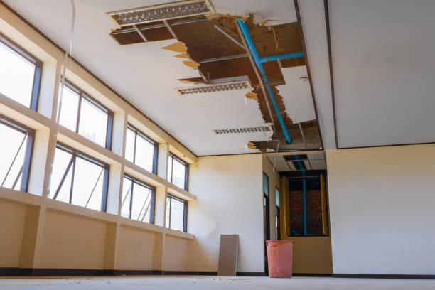 Best Water damage contractors near me  in Umatilla, FL