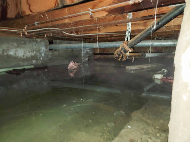 Best Emergency water damage restoration  in Umatilla, FL