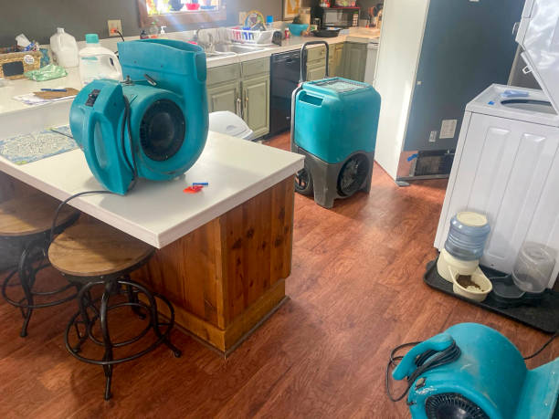 Best Basement water damage restoration  in Umatilla, FL