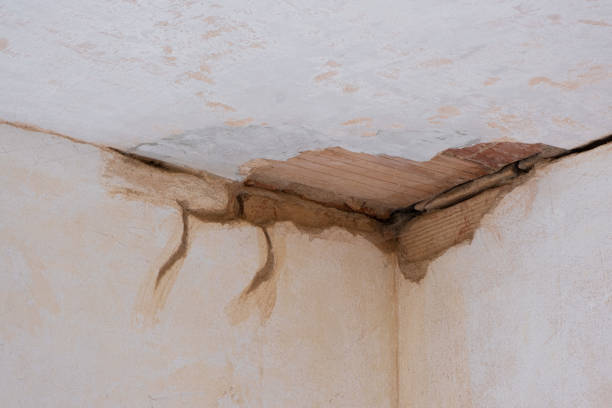 Best Water damage restoration insurance claims  in Umatilla, FL