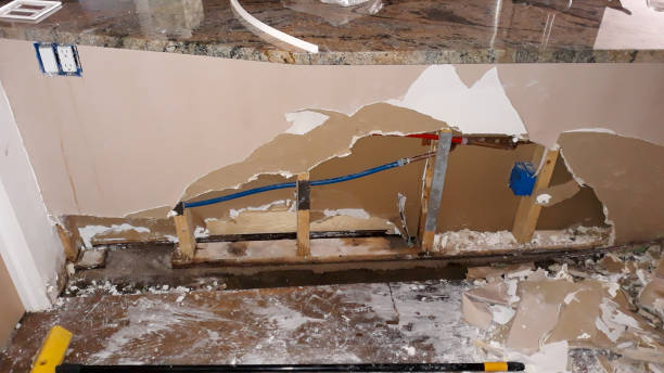 Best Flood restoration services  in Umatilla, FL