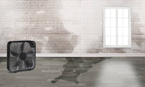 Best Commercial water damage restoration  in Umatilla, FL