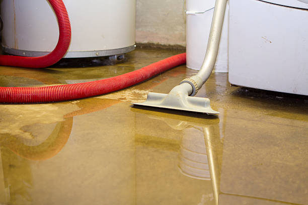 Best Water damage contractors near me  in Umatilla, FL