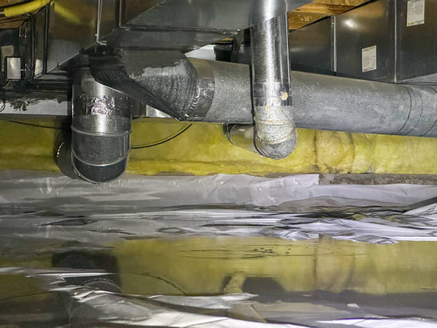 Best Commercial water damage restoration  in Umatilla, FL