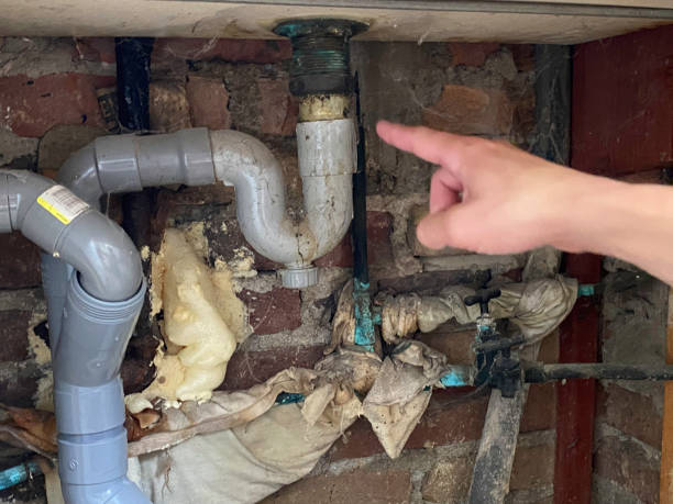 Best Local water damage restoration  in Umatilla, FL
