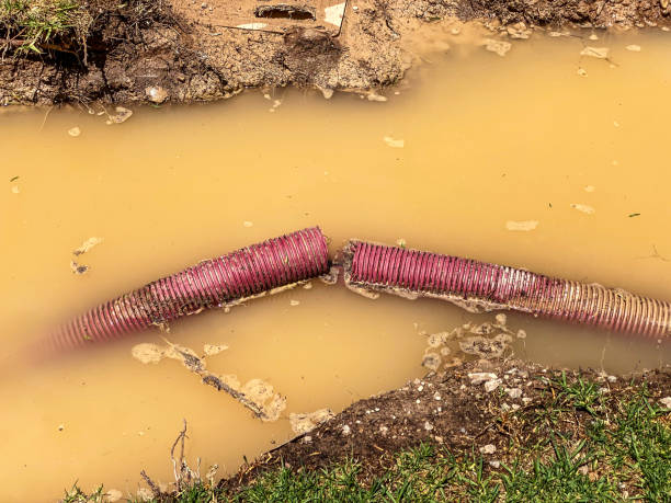 Best 24-hour water damage restoration  in Umatilla, FL