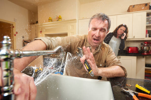 Best Flooded house restoration  in Umatilla, FL